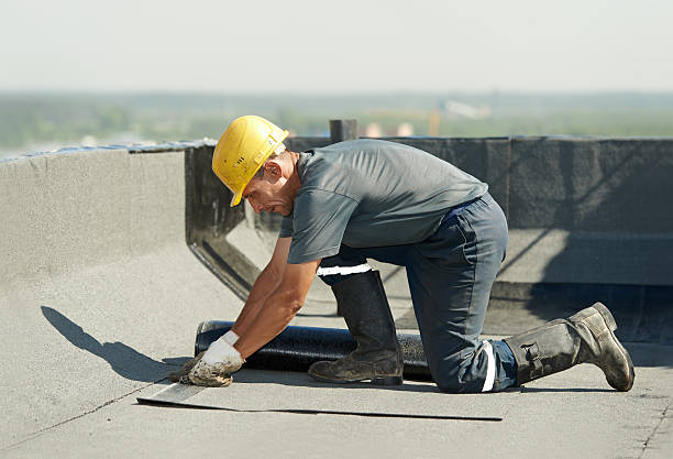 Best DIY Insulation Kits and Guidance in Westfield Center, OH